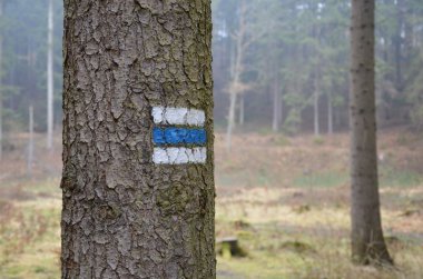 Turizm ahşap hiking için mavi şarkı