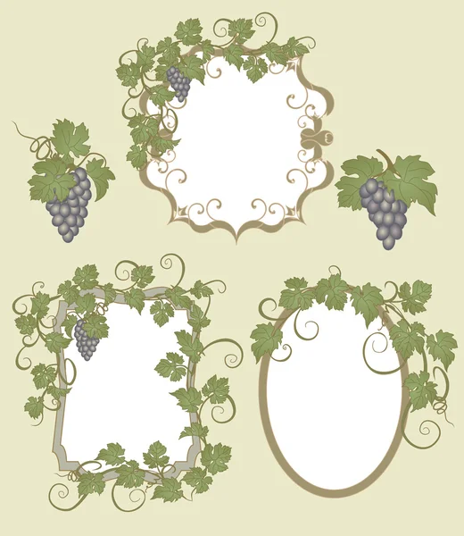 Set frames met wijnstokken in vintage stijl. — Stockvector