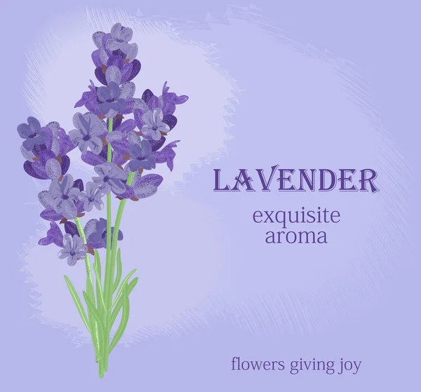 Tak van bloemen van lavendel. — Stockvector