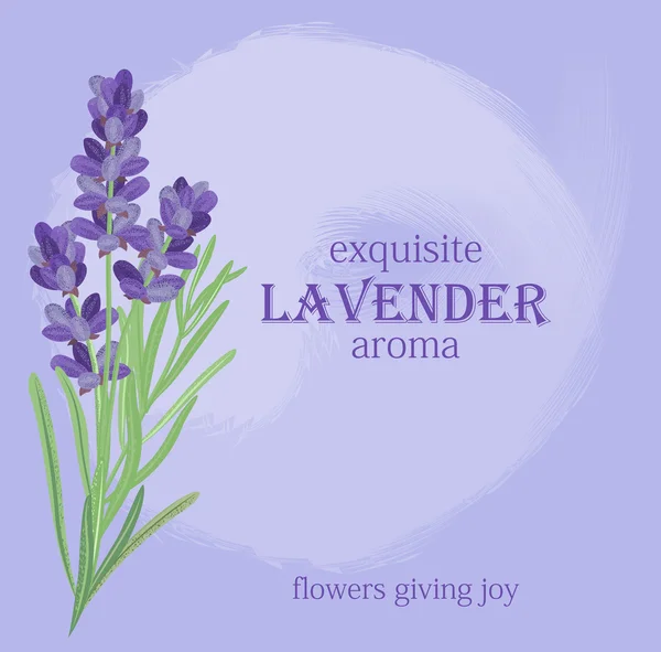 Tak van bloemen van lavendel. — Stockvector