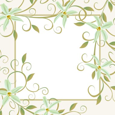 Arka plan beyaz çiçekler orkide aksanlı.