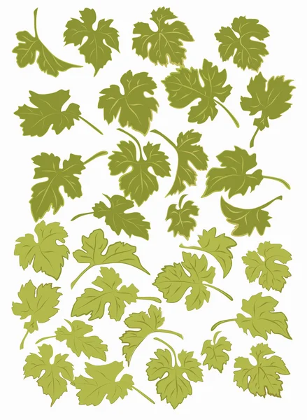 Définir les feuilles de raisin . — Image vectorielle