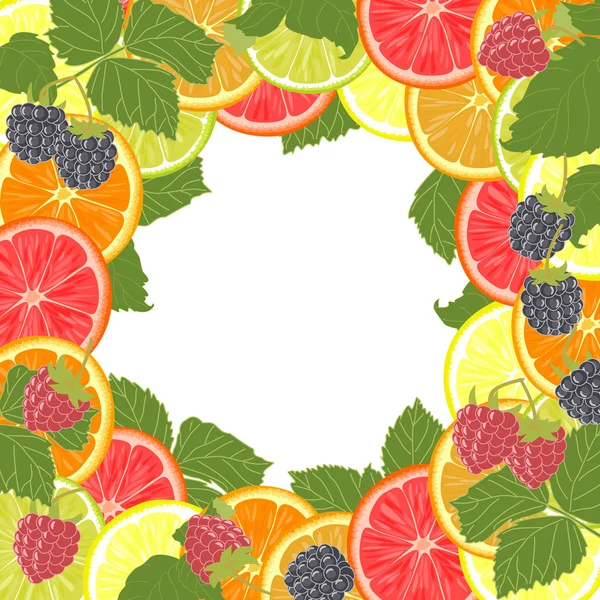 Achtergrond met citrus fruit, bessen en bladeren. — Stockvector