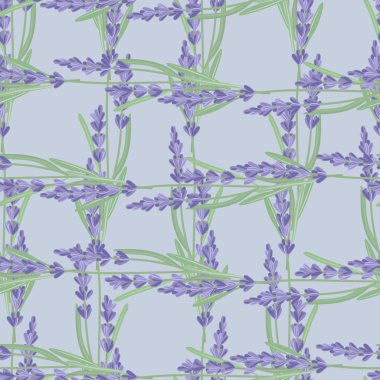 Lavanta çiçekleriyle kusursuz desen.