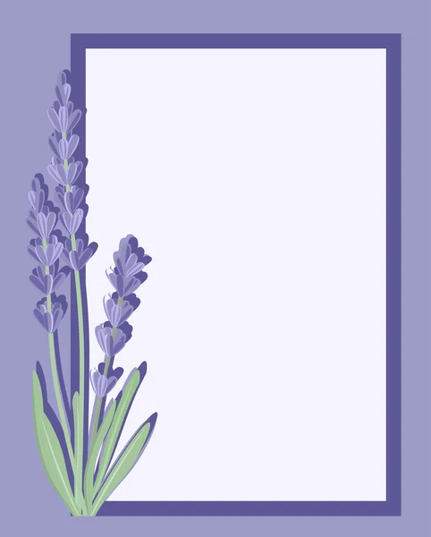 Zweig der Blüten von Lavendel. — Stockvektor