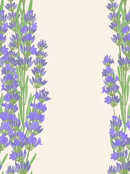 Padrão sem costura com flores de lavanda . — Vetor de Stock