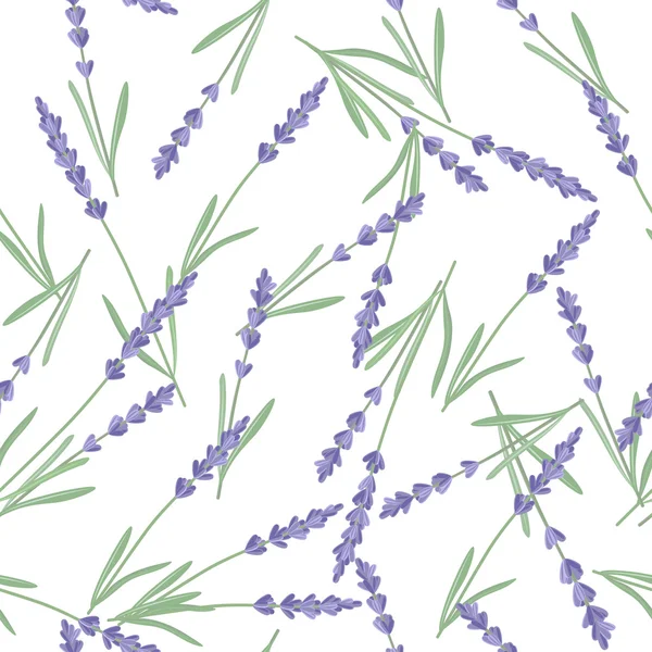 Patrón sin costura con flores de lavanda . — Archivo Imágenes Vectoriales