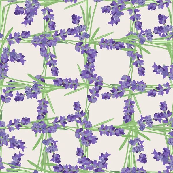 Seamless pattern with lavender flowers. — Stock Vector