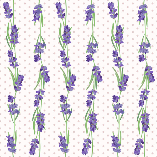Бесшовный рисунок с цветами лаванды
.