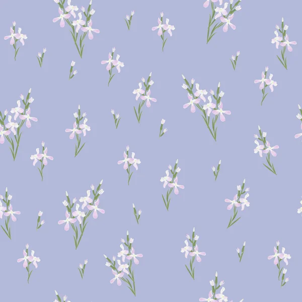 Matthiola 또는 저녁 앵 초 꽃으로 완벽 한 패턴. — 스톡 벡터