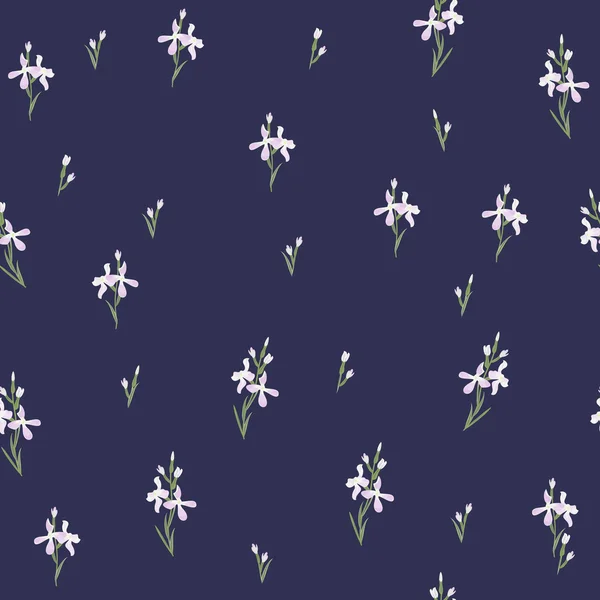 Motif sans couture avec fleurs Matthiola ou onagre . — Image vectorielle