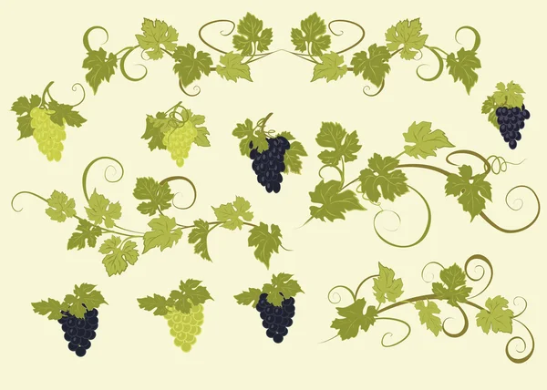 Vector design elements in vintage style with vines. — Stock Vector