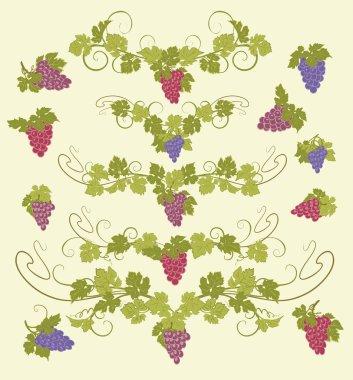 Vektör tasarım öğeleri ile üzüm vintage tarzı.