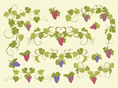 Vektör tasarım öğeleri ile üzüm vintage tarzı.
