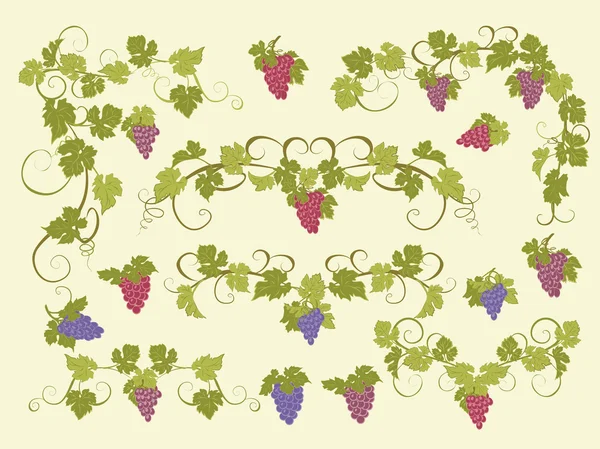 Vektör tasarım öğeleri ile üzüm vintage tarzı.