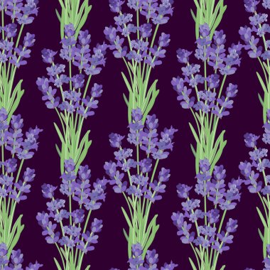 Lavanta çiçekleriyle kusursuz desen.