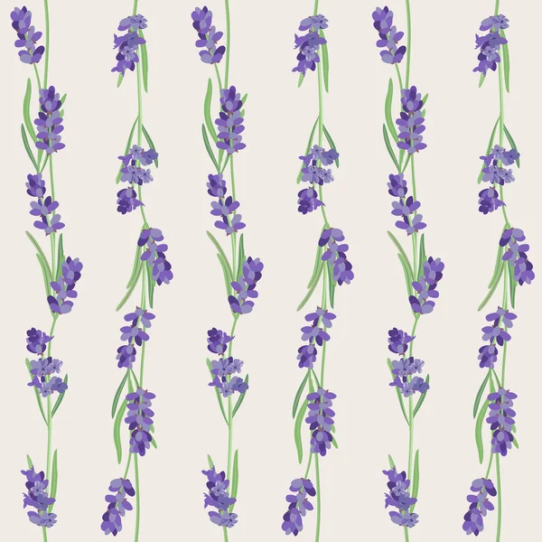 Patrón sin costura con flores de lavanda . — Archivo Imágenes Vectoriales