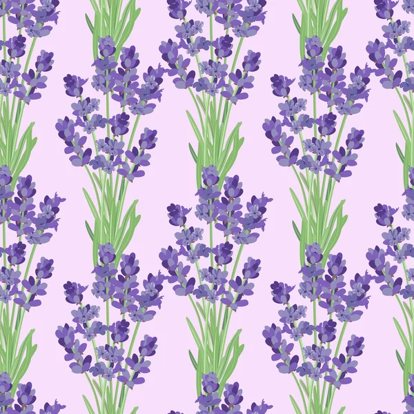 Padrão sem costura com flores de lavanda . — Vetor de Stock