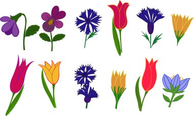 bir dizi değişik çiçek resimleri.