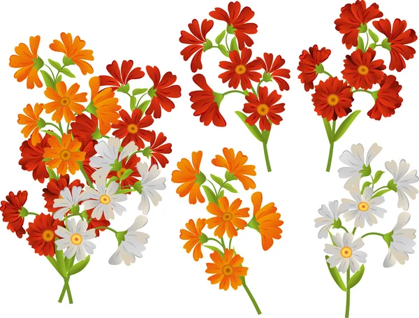 Vector set of flowers. Daisies, asters, calendula. — Stock Vector