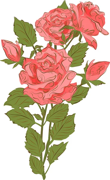 En bukett med rosa rosor i vintagestil. Vektor illustration. — Stock vektor