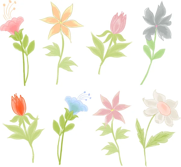 L'arrangement des fleurs. Illustration vectorielle de l'aquarelle stylisée . — Image vectorielle