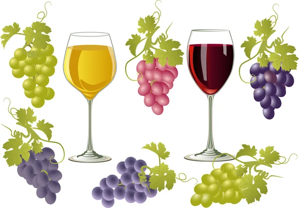 Ilustración vectorial de vasos de vino y racimos de uvas . — Vector de stock