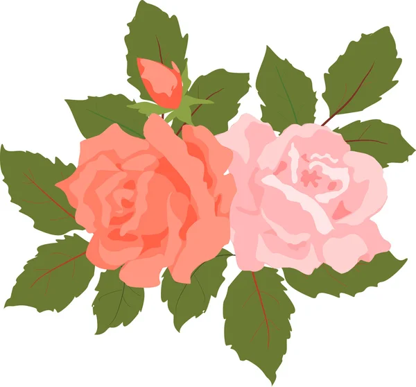 Vector bouquet of pink and red roses. — Stock Vector