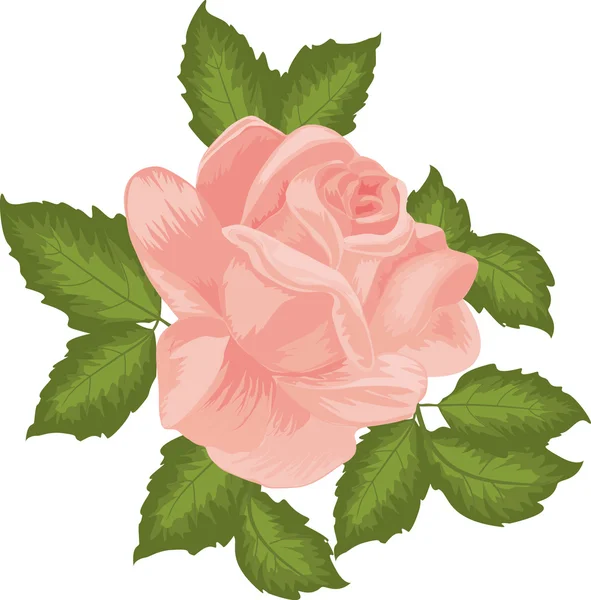 Pink rose in vintage style. — Stock Vector