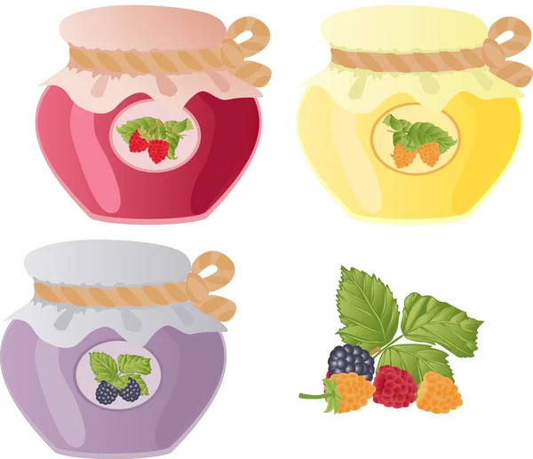 Conjunto vectorial de latas con mermelada de frambuesa y bayas frambuesas . — Vector de stock