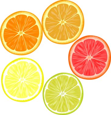 Farklı narenciye meyve dilimleri. Portakal, greyfurt, limon, limon.
