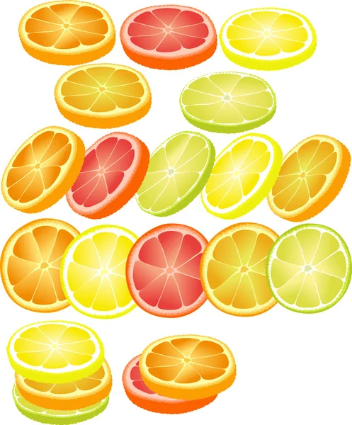 Slices of different citrus fruits. Orange, grapefruit, lemon, lime. — Stock Vector