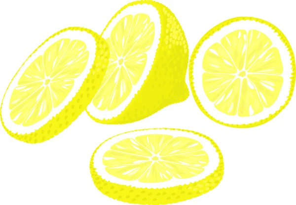 Skivor av citron. — Stock vektor