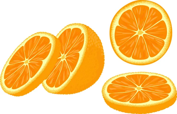 Tranches d'orange. — Image vectorielle