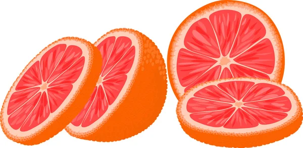 Шматочки червоного апельсина або грейпфрута . — стоковий вектор