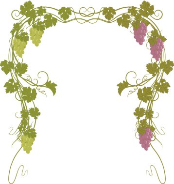 Üzüm vintage tarzı ile metin için arka plan.