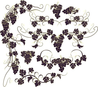 Tasarım öğeleri ile üzüm demet ve vintage tarzı asma.