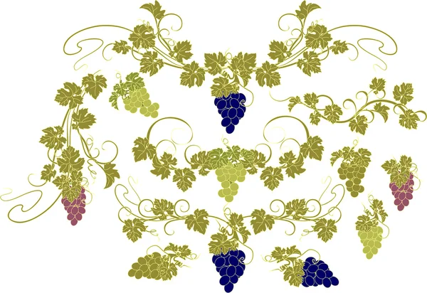 Design elements with bunches of grapes and vines in vintage style. — Stock Vector