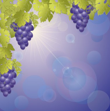 Gökyüzüne karşı üzüm.