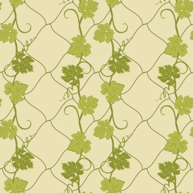 Üzüm ile sorunsuz doku.