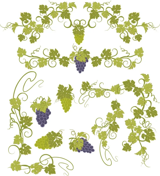 Vector design elements in vintage style with vines. — Stock Vector