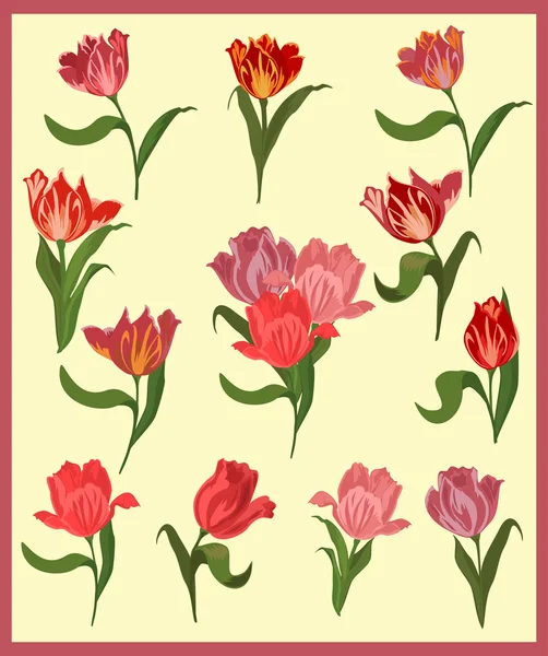 Vector set of elegant tulips in vintage style. — Stock Vector