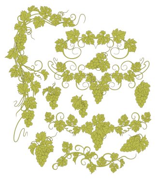 Vektör tasarım öğeleri ile üzüm vintage tarzı.