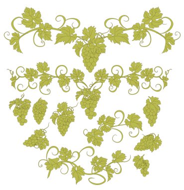 Vektör tasarım öğeleri ile üzüm vintage tarzı.