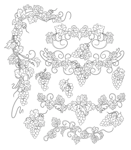 Векторные элементы дизайна в винтажном стиле с виноградной лозой . — стоковый вектор