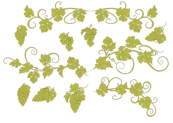 Vector design elements in vintage style with vines. — Stock Vector