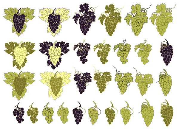 Ensemble vectoriel de grappes de raisins . — Image vectorielle