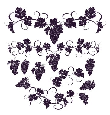 Vektör tasarım öğeleri ile üzüm vintage tarzı.