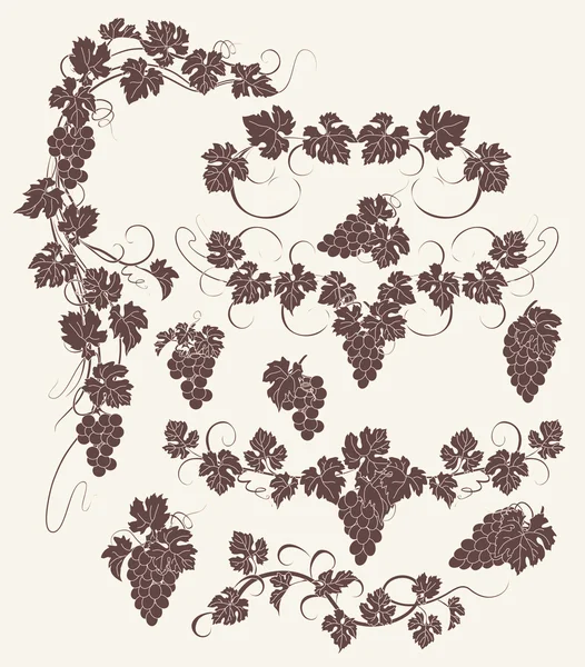 Vector design elements in vintage style with vines. — Stock Vector