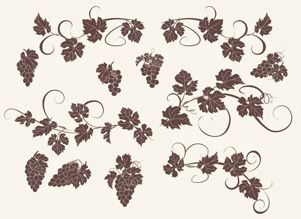 Vector design elements in vintage style with vines. — Stock Vector